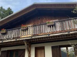 Appartement spacieux 9 pers à Beaufort avec balcon, 4 chambres et équipements familiaux - FR-1-342-289