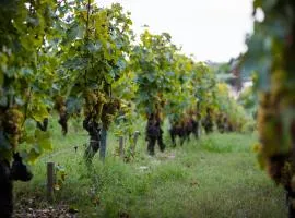 Gîte au milieu des vignes