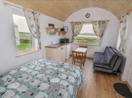 The Snuggly Sheep Farm Stay Shepherd Hut，位于巴利香农的酒店