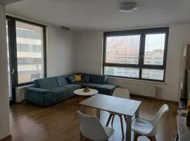 CityPark Apartment, free parking & AC