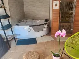 Gîte l'étable détente SALLE SPA EN SUPPLEMENT