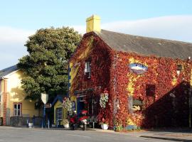 Kingfisher Lodge & Pub，位于Castleconnell的民宿