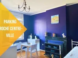 La Domus Lemaitre 5- Parking - TV - Wifi