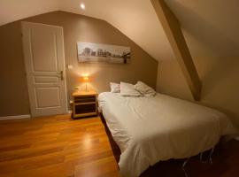 CHAMBRE AU CENTRE VILLE TRES COSY，位于南希的民宿