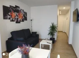 Apartamentos Silgar Plaza