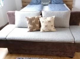 Apartment Anna im Mostviertel，位于Seitenstetten Markt的酒店