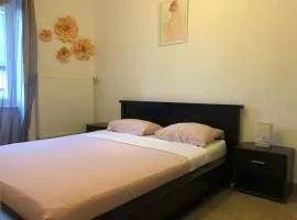 Appartement proche du PAL
