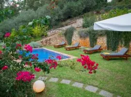 Physis Villas Chania