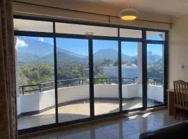 Hein Penthouse