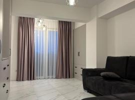 Cozy Studios in Suceava，位于苏恰瓦的酒店
