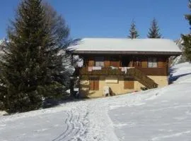Chalet Leiggener