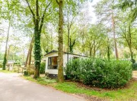 Veluwe Chalet aan het bos - Kids - Pool - Dog