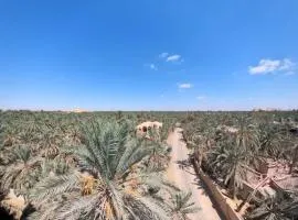 Siwa star