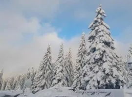 Apartmani Haski Konaci
