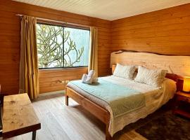 Hotel El Coihue，位于普孔的酒店