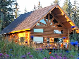 Anchor Point Captain Cook Lodge，位于Anchor Point的酒店