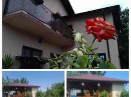 PIATRA ROSIE Pensiune Agroturistică，位于Niculiţel的酒店