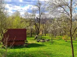 Friendship Cabin (Friendship Land)