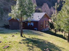 Tierras Altas de la Patagonia- Cabaña mediana con acceso al lago，位于科伊艾科的木屋