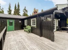 Beautiful Home In Sjusjøen With Kitchen