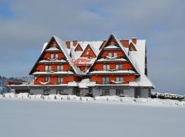 Czerwone Wierchy - przy stoku narciarskim - sauna i jacuzzi wliczone w cenę pobytu，位于Białka Tatrzanska的酒店