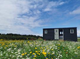 Barley Shepherd Hut - Snettisham Meadows，位于金斯林的露营地