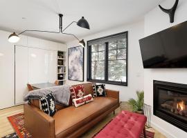 Christiana Lodge 102A Studio in Aspen with Hot Tub access，位于阿斯潘的酒店