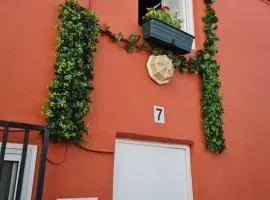 Casa en Teror Céntrica turismo de ciudad y bosques