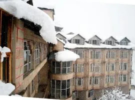 Bravia Hotel Manali Inn