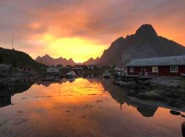 Exclusive and genuine in Lofoten- SAUNA included，位于莫斯克内斯的酒店