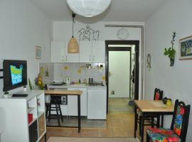 Studio5, sa parkingom, centar Obrenovca，位于Obrenovac的酒店