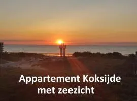 Recent vernieuwd appartement met zeezicht en een gratis parkeerplaats