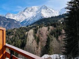 Appartement montagnard avec vue sur le Mont-Blanc，位于圣热尔韦莱班的酒店