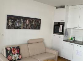 2 Zimmer Appartement mit eigenem Bad und Küche，位于温特图尔的自助式住宿