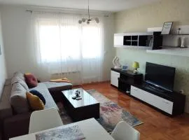 Apartman TOM Bijeljina