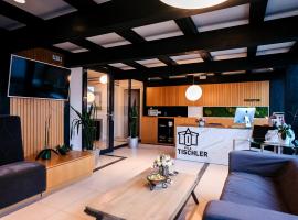 Vila Tischler，位于博尔塞克的酒店