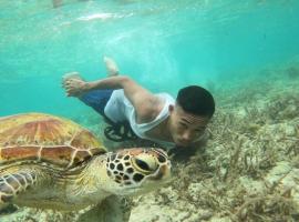 Moalboal Indino's Guesthouse sardines run and sea turtle 1 minute walking distance，位于莫阿尔博阿的酒店