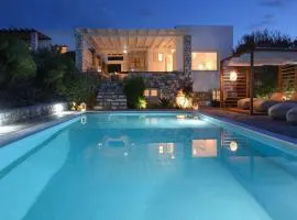 Platinum Paros Villa 4 Bedrooms Villa Zefyros Private Pool and Amazing Sea Views Ambelas
