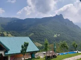 漂流绿塔拉露营地