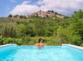 Villa Toro with breathtaking view in Motovun