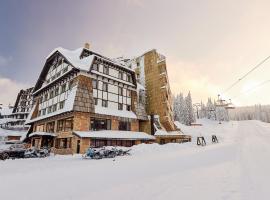 Grey Family Hotel，位于科帕奥尼克的酒店