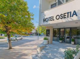 Hotel Osetia Garden，位于莫姆奇尔格勒的酒店
