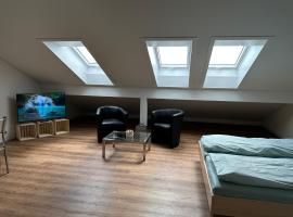 Neue Einzimmer Dachwohnung，位于Seengen的酒店