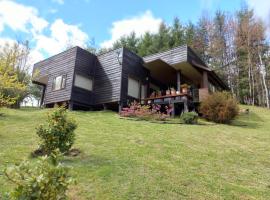 Casa Pucon sector Laguna ancapulli，位于普孔的酒店