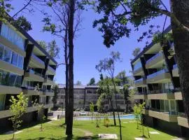 Alta Vista Pucon Centro