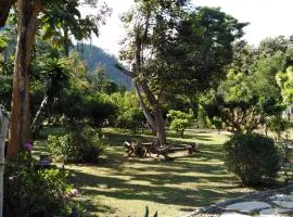 At Home Chiang Dao, Pooch Lovers