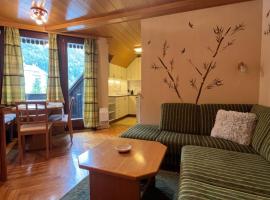 Little King - Feel like at home，位于克拉尼斯卡戈拉的滑雪度假村