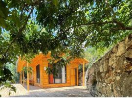 Ece Hanı Bungalow Hotel，位于Yaka的酒店