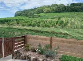le gite des vignes Studio tout confort 1 chambre dans le vignoble Franche Comte Arbois
