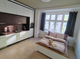 Skořepka15 apartment Brno-střed，位于布尔诺的酒店